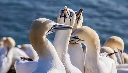 爱游戏赛事中心-中甲风云再起老牌劲旅誓言冲超