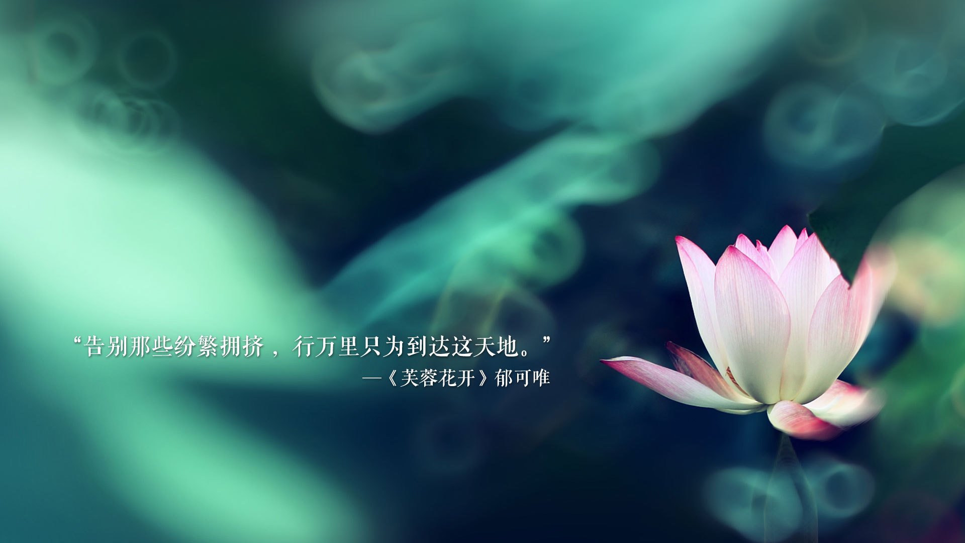 保加利亚集训煞费苦心 欧预赛新力量铁心前行，保加利亚球队厉害吗_