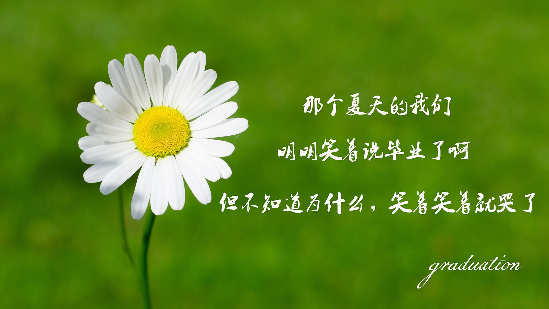 帕尔蒂赞球员发挥核心作用，帕尔瓦蒂是谁