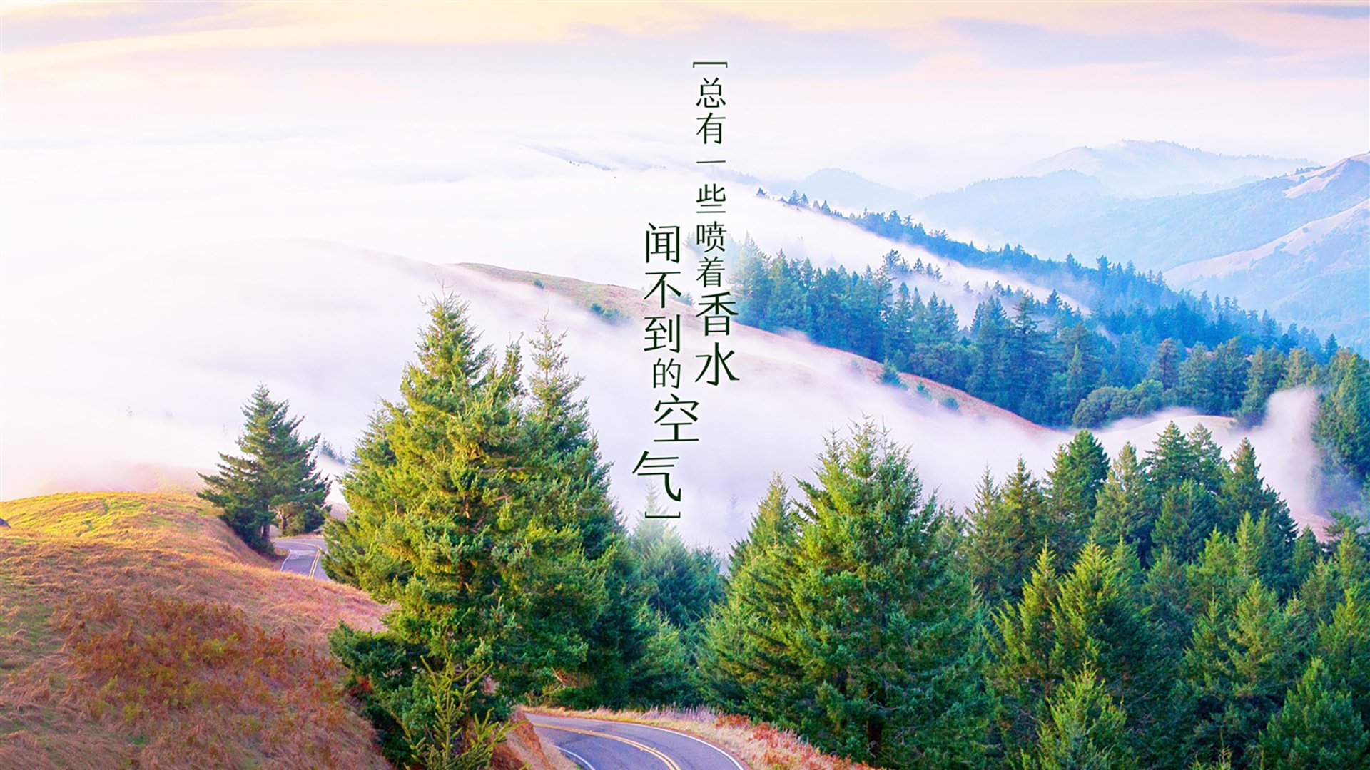曼城对阵西汉姆，拉波特是否能抵挡对手的攻势？，曼城vs西汉姆