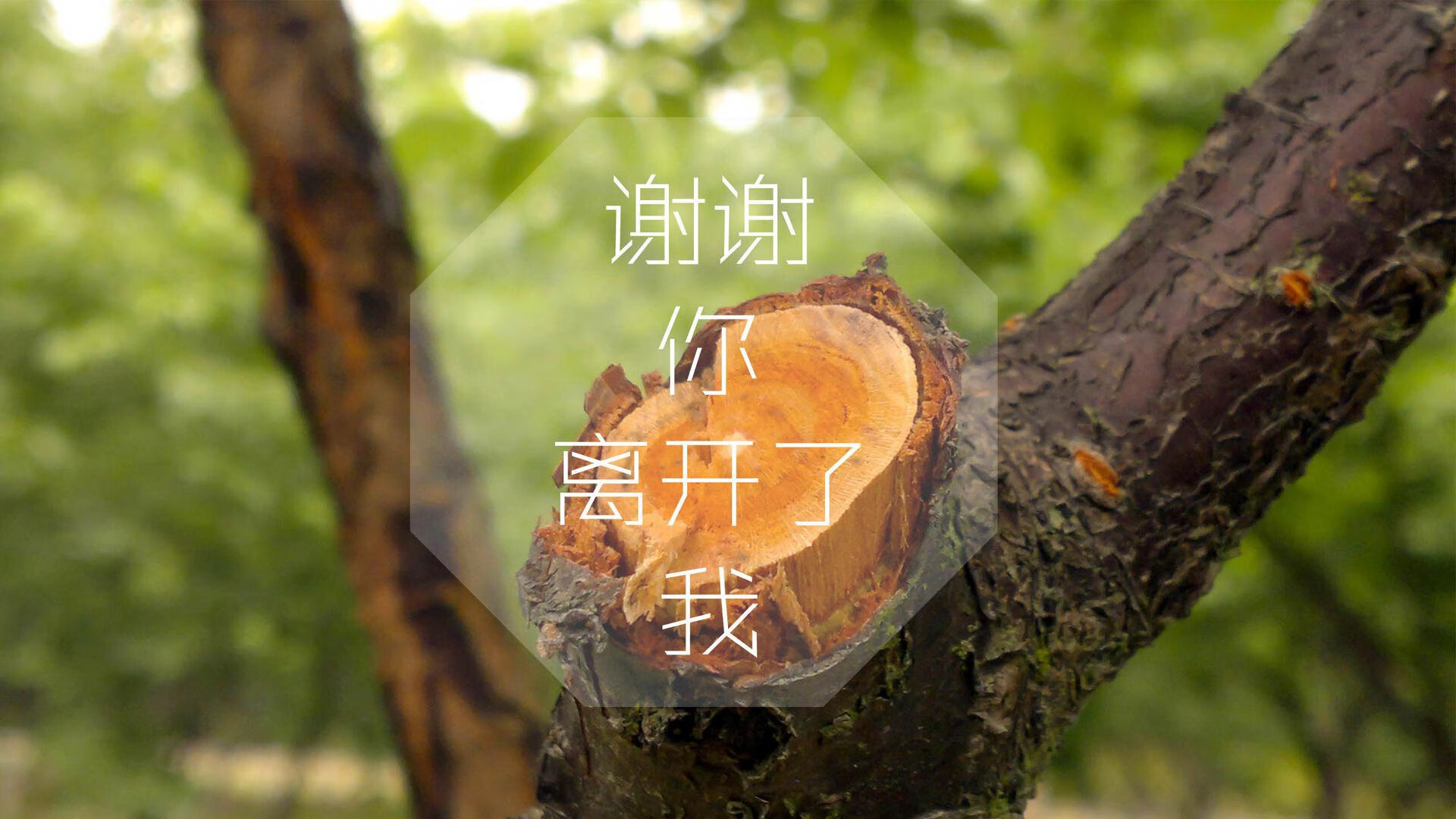 中国足球门将二次反应能力统计，足球门将二次触球