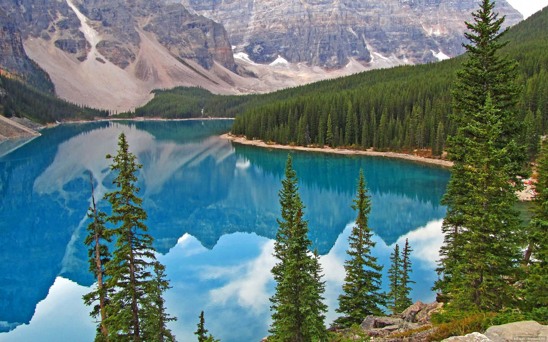 高校运动训练科学化监控体系构建与应用，运动训练科学监控课程感想