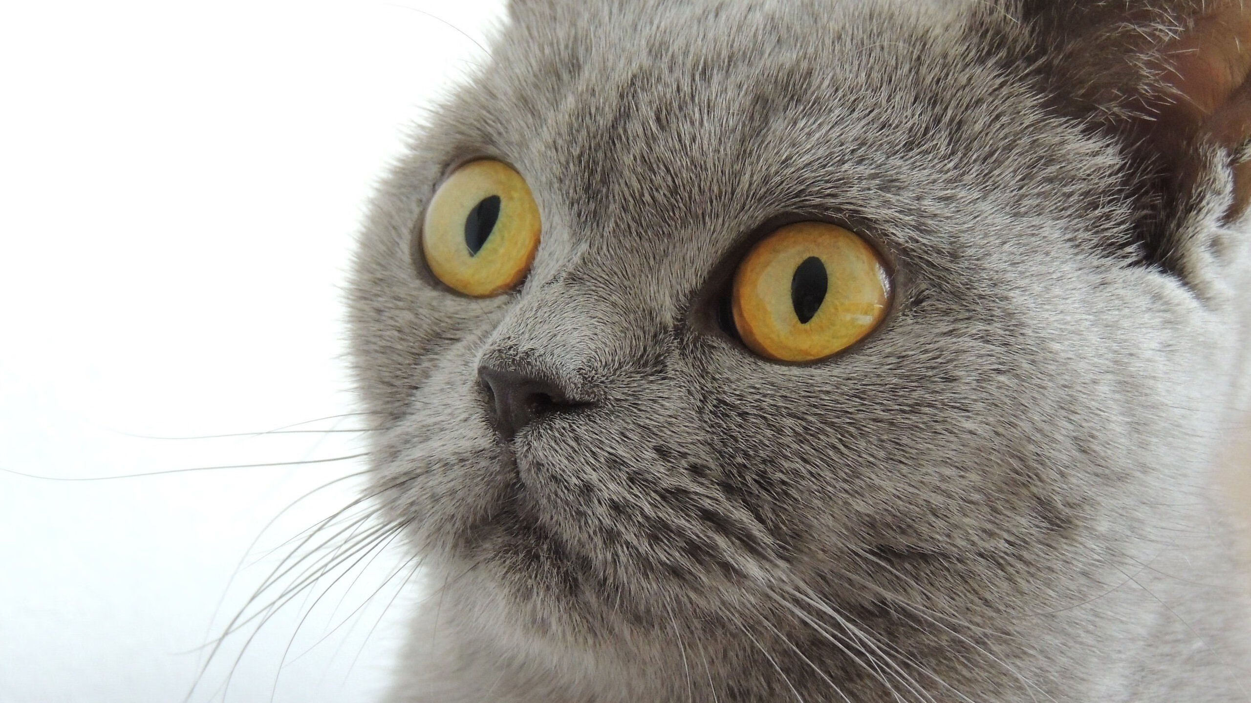 “天府新区沙滩赛场，沙滩手球全新升级”