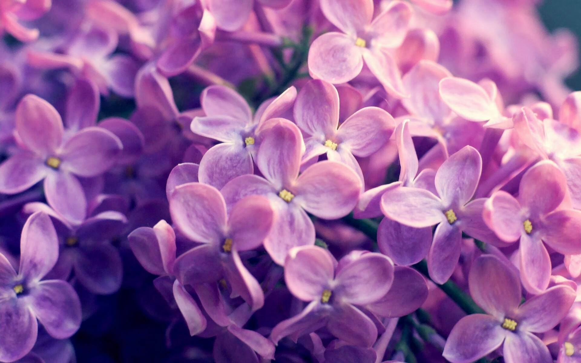 爱游戏平台-东亚杯中国足球战平 球迷期待突破，东亚杯中国队