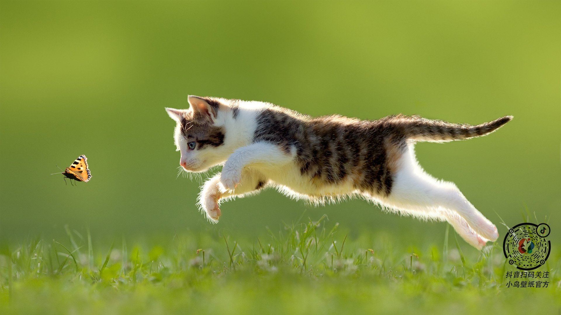 中国三人篮球男队技战术水平显著提升，中国男子三人篮球最好成绩