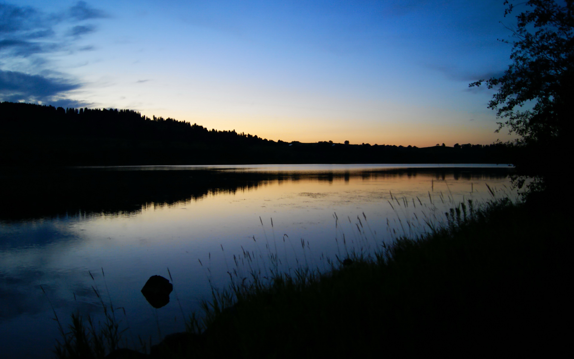 中国香港队赛制透视:如何通过团体配合打破单打局限,香港队伍
