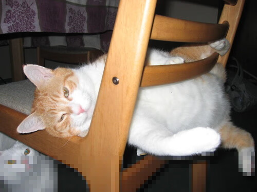 五大联赛是否鼓励后腰向边路释放传球角度，五大联赛进攻型球队