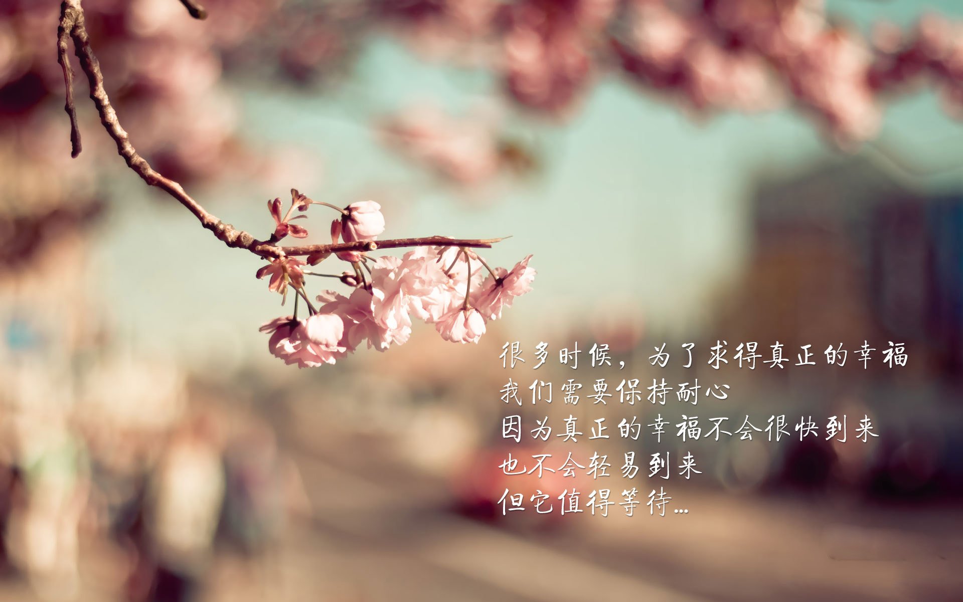 亚洲杯中国足球战败 球迷呼吁系统性改革，亚洲杯,足球