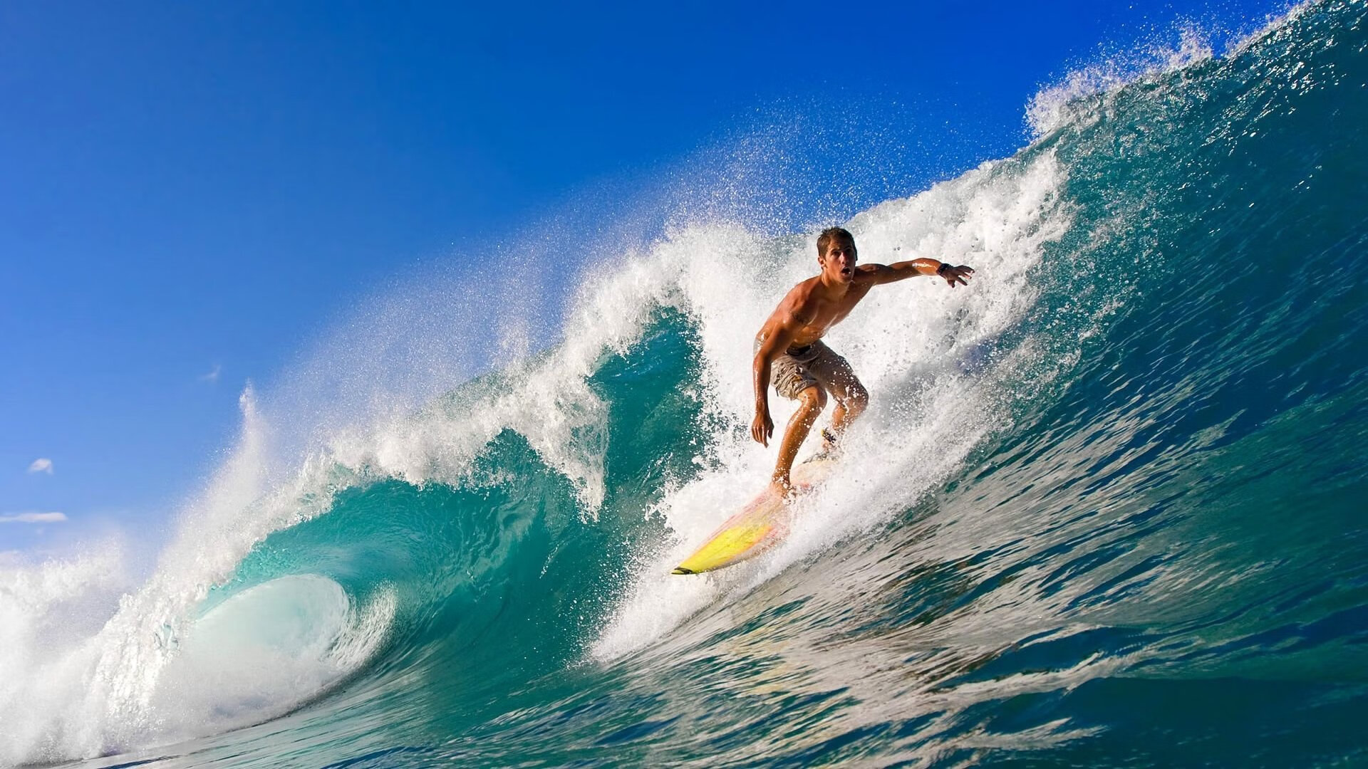 爱游戏平台-“德甲多队血战到底，冠军争夺日趋激烈”，德甲一共打几轮